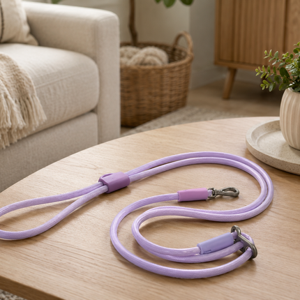 Multi-functional leash lifestyle
