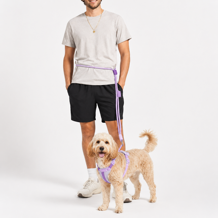 Leash crossbody mode