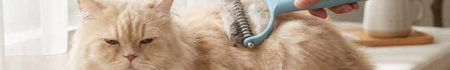 Persian cat groomed with the Luvairis Dematting & De-Shedding Undercoat Brush on a windowsill
